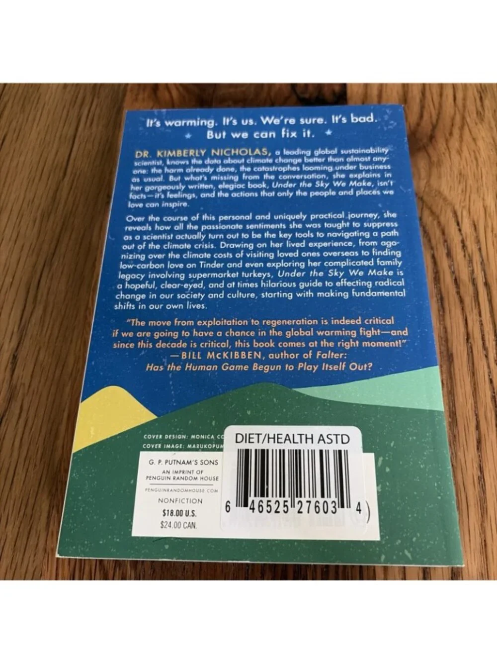 Under the Sky We Make: How to Be Human in a Warming World by Kimberly Nicholas